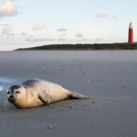 Iwalani - Large Private Garden - Close To Center &