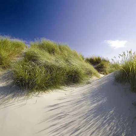 Holiday home Iwalani - Large Private Garden - Close To Center & *