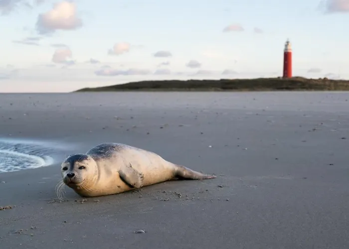 Iwalani - Large Private Garden - Close To Center &