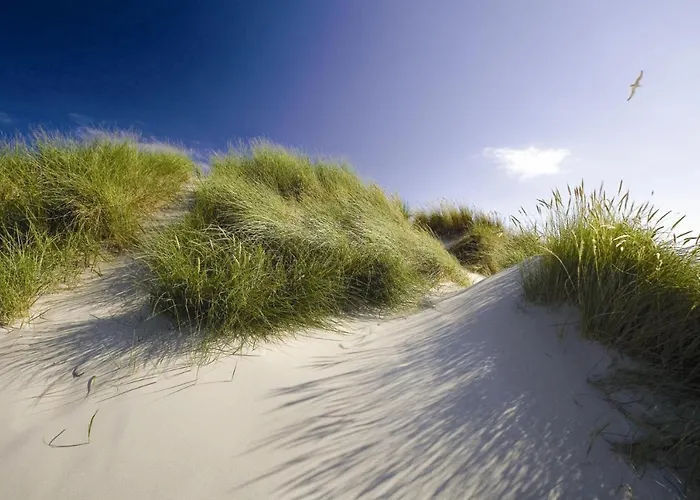 Vakantiehuis Iwalani - Large Private Garden - Close To Center & *